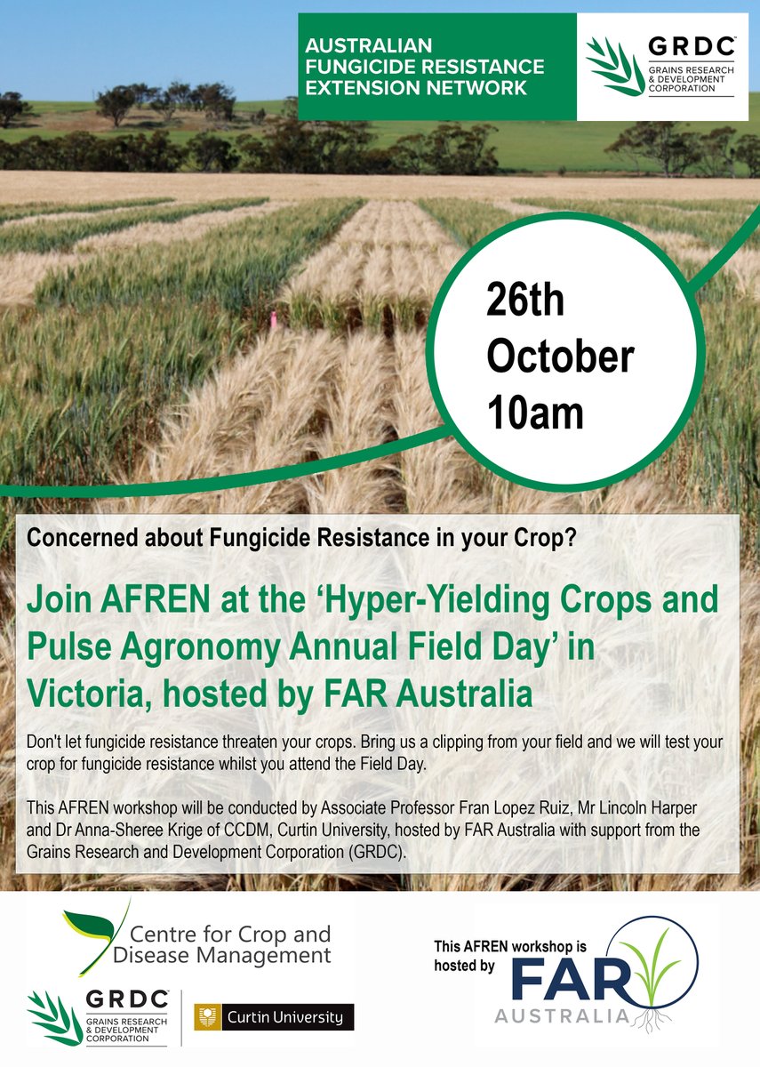 GRDCSouth's tweet photo. Join #AFREN at @far_australia workshop to talk fungicide resistance. Bring wheat samples &amp; they will test it on the day for fungicide resistant Septoria &amp; Powdery Mildew.

AFREN Fungicide Resistance 101 &amp; Sample Testing Workshop
26 Oct, Winchelsea, VIC
👉 https://t.co/0V1z4gLvv6 https://t.co/cI8SgBC2xj