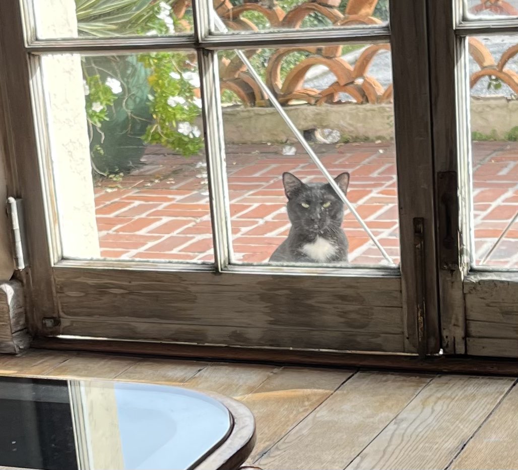 Tim Schenck tweet media