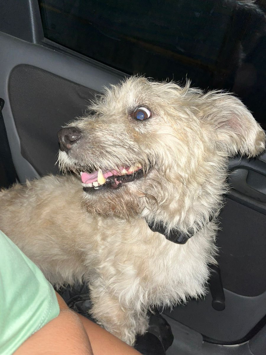 rubiasol tweet media