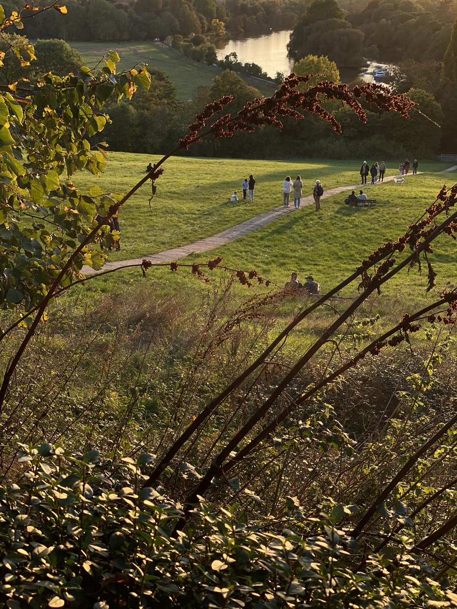 온 세상이 가을이야 🎃🍂🍁🌅