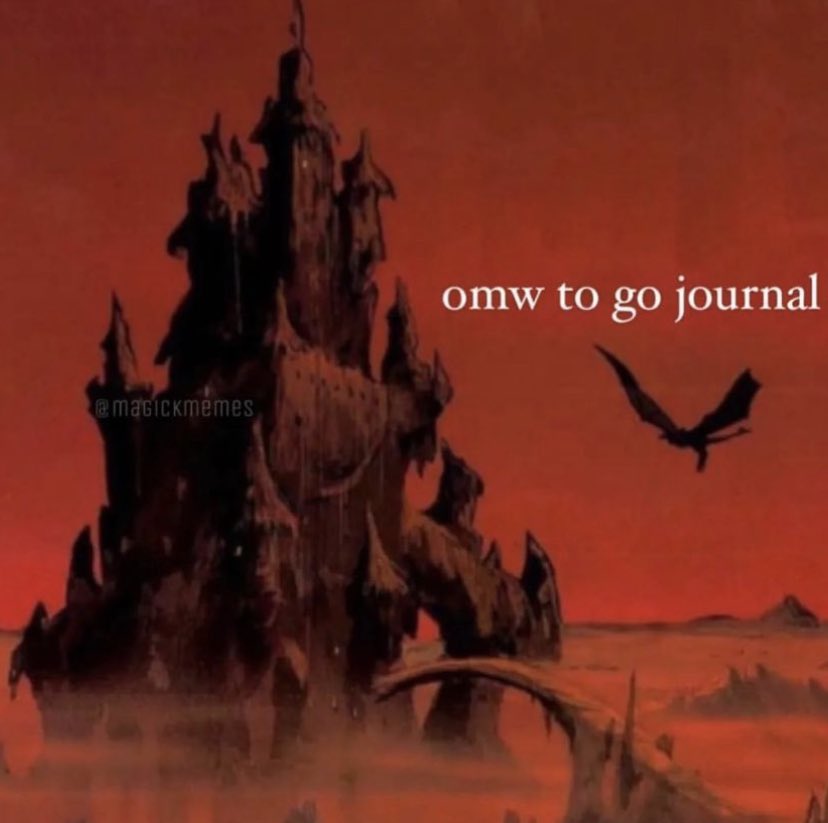 ✧ tweet media