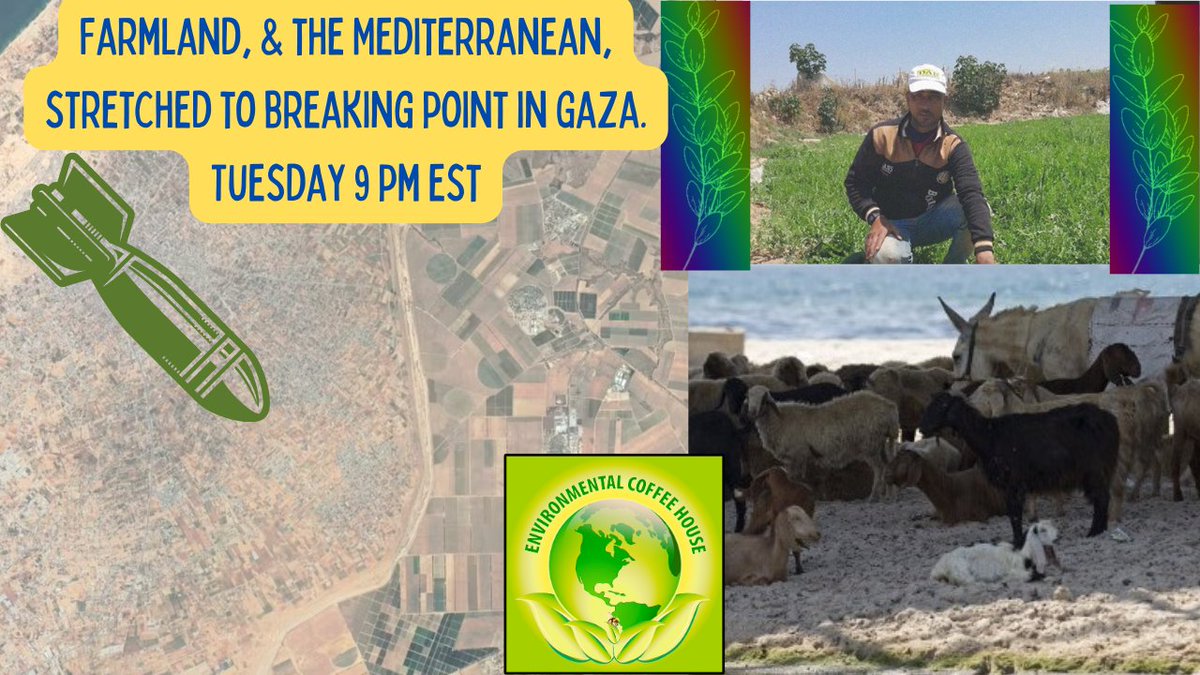 FARMLAND, & THE MEDITERRANEAN,STRETCHED TO BREAKING POINT IN GAZA. 9 pm est Tues Oct 24 youtube.com/live/EdDPvvBkY… via @YouTube @psmorehouse1 @PoeBrianL #GazaUnderSiege #IsraelPalestineWar #NetanyahuIsAwarCriminallll #Palestine #mediterraneansea @TheLetterhack @PaulHBeckwith