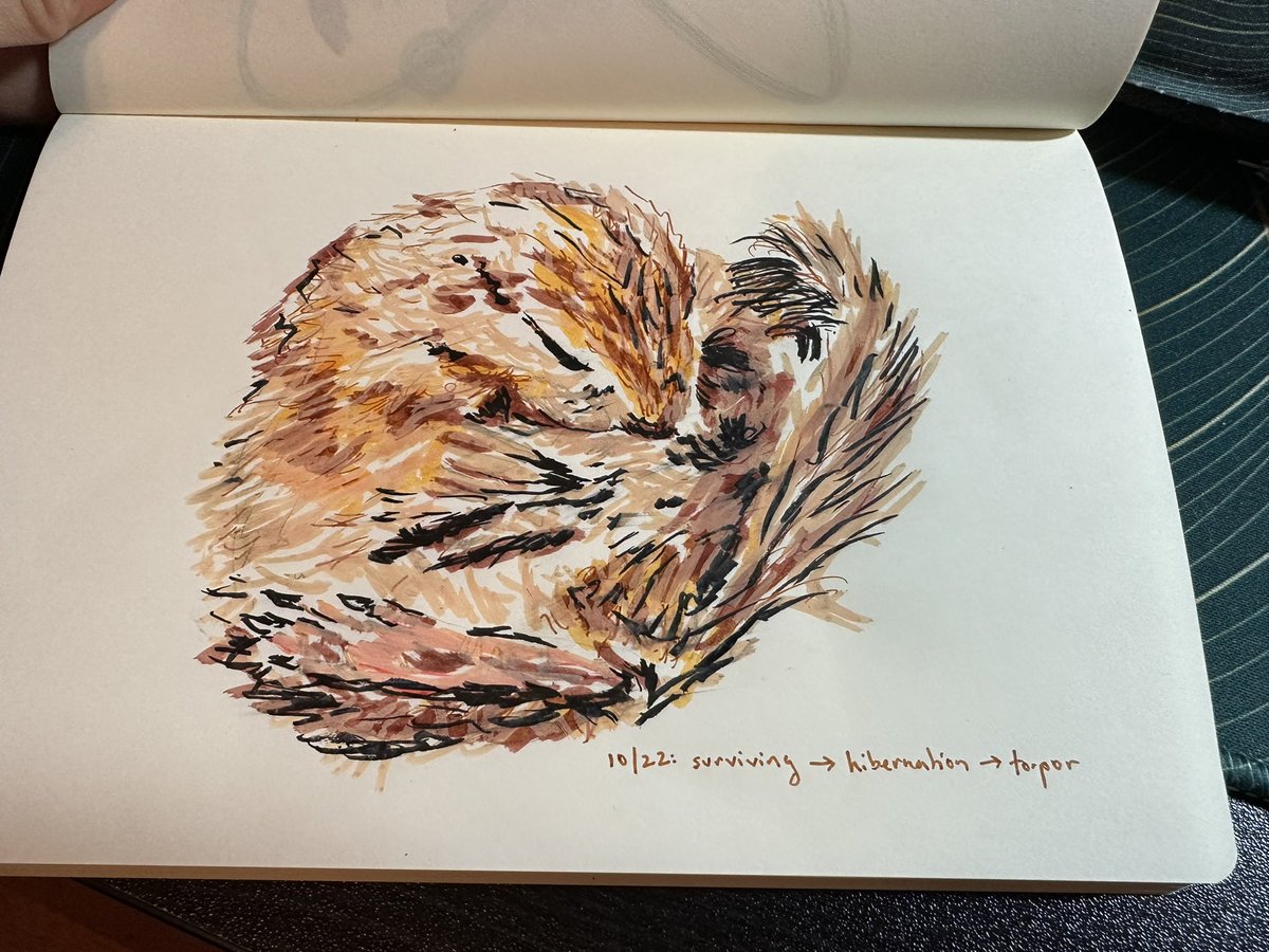 Connie Jiang tweet media