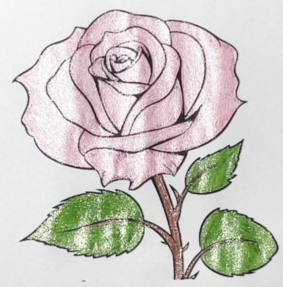 ArtworkFun's tweet image. Pink Rose Done With Glitter Pens🌹

#coloring #artoftheday #rose #flower