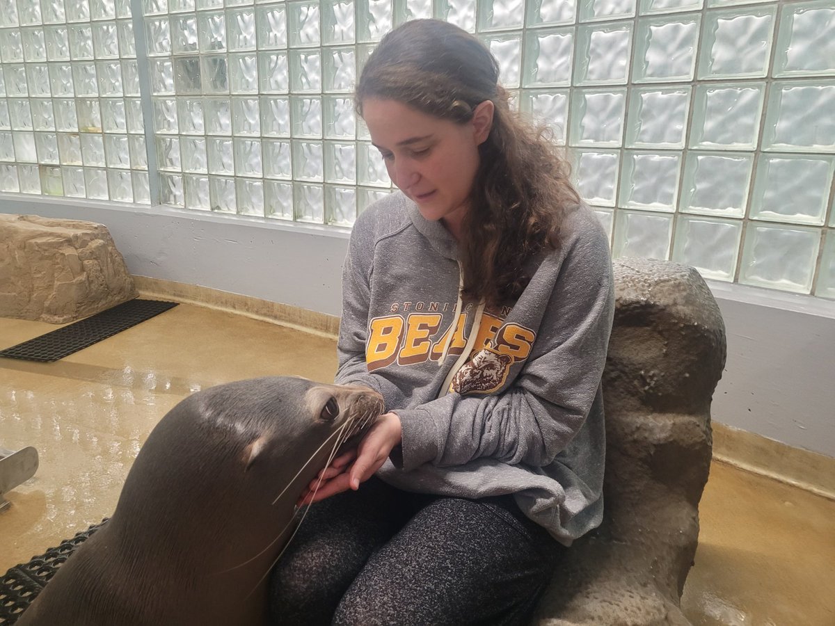 Kim Caramele tweet media