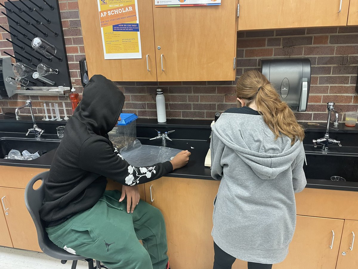 MrNicholsBio's tweet photo. This past week we had a great time experimenting with using microscopes!! https://t.co/15MkWZ8hIz