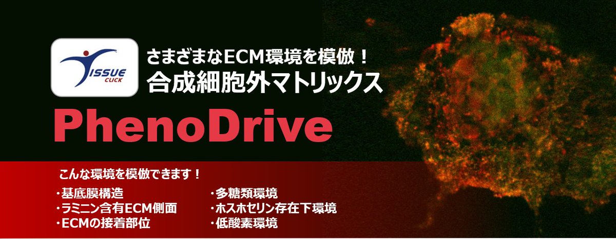 Filgen_nagoya's tweet photo. 【新チラシ】合成細胞外マトリックス
さまざまなECM環境を模倣することが可能な合成細胞外マトリックスです!
ゲルマトリックスの代替品にもご使用いただけます!
チラシ:https://t.co/rTlzuyDMDX
#TissueClick #フィルジェン https://t.co/6xFcbrGvo6