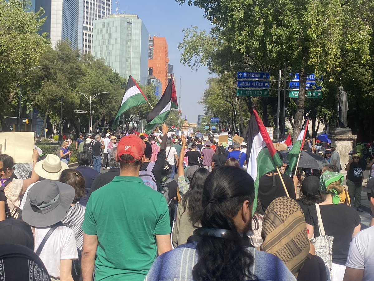 _Diana_Fuentes's tweet photo. Marchamos por el cese al genocidio. 

Por parar la narrativa que pretende ocultar la masacre planificada de miles de inocentes.

Por una Palestina libre!!! https://t.co/GTNx2nUiuu