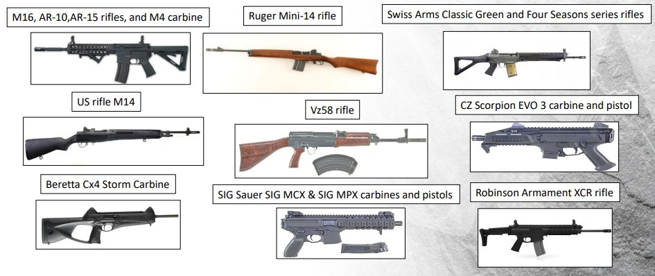 Swiss Arms Classic Green rifle ban to be reviewed by government