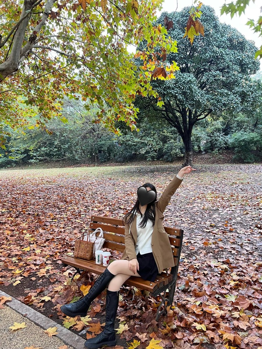 Raya2500's tweet photo. The maple leaf falling slowly is like missing 🍂🍂🍂
The bench is really easy to photograph. The maple leaf atmosphere is full https://t.co/RgZ4Al8gTD