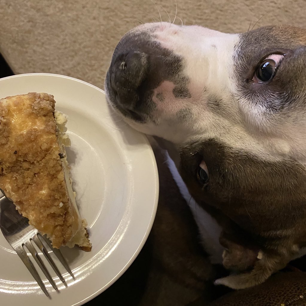 Dad definitely does *not* like it when *I* have muddy paws, but he *does* love Muddy Paw Cheesecake. (He wouldn't even share...) @MPCheesecake