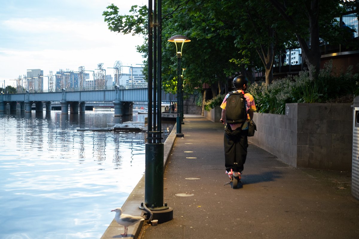 ChibimaruG's tweet photo. ここ数日曇り空が続くメルボルン

#写真撮ってる人と繋がりたい #写真 #カメラ小僧 #オーストラリア #メルボルン #nikonlens #nikonmacro #オールドレンズ #写真好きな人と繋がりたい  #photography #photographylovers #キリトリセカイ #ファインダー越しの私の世界 https://t.co/hVHDPOq3Z7