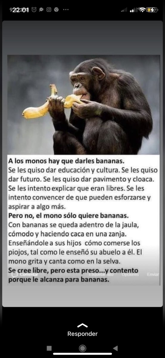 Tomi Perosino  (@tomiperosino) on Twitter photo 