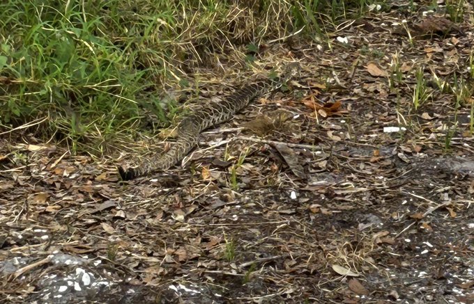 I had a wonderful Sunday 🥰what about you ❤️ https://t.co/sTF1MvrGCI<a href="/tag/allieadams"class="tags"><span>#allieadams</span></a>