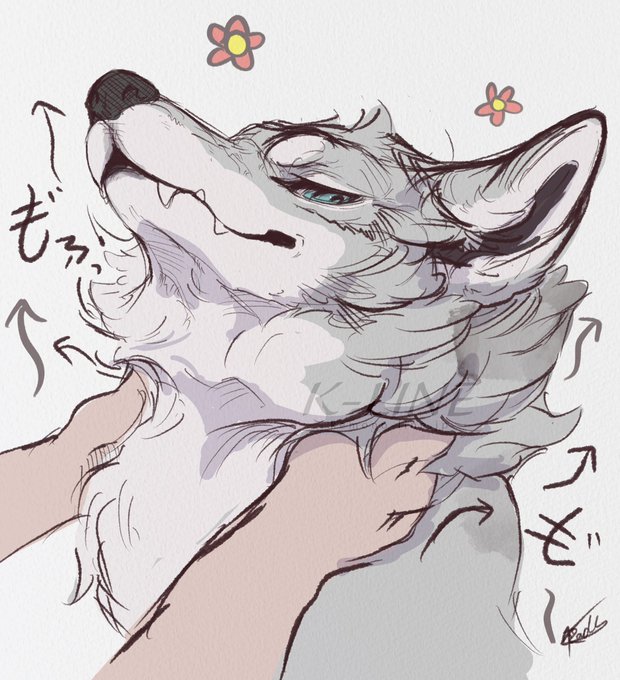 イヌサンの首毛が、もさもさ #RadysSketchbook 