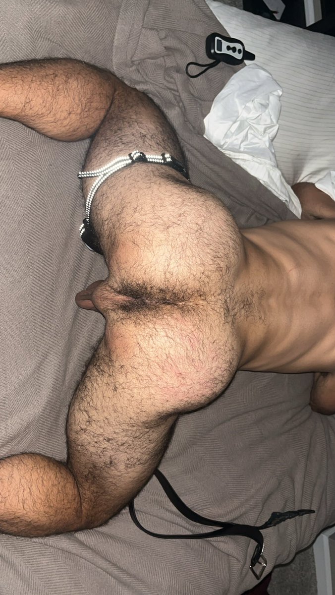 notbigdicknick's tweet photo. My new boy is doing so good. Hot, hairy, obedient. He loves going home with a mouth full of my musk and his beard smelling like my balls and ass. 

Come on bros, tell him he’s a good boy. https://t.co/pLD0UkwyM5
