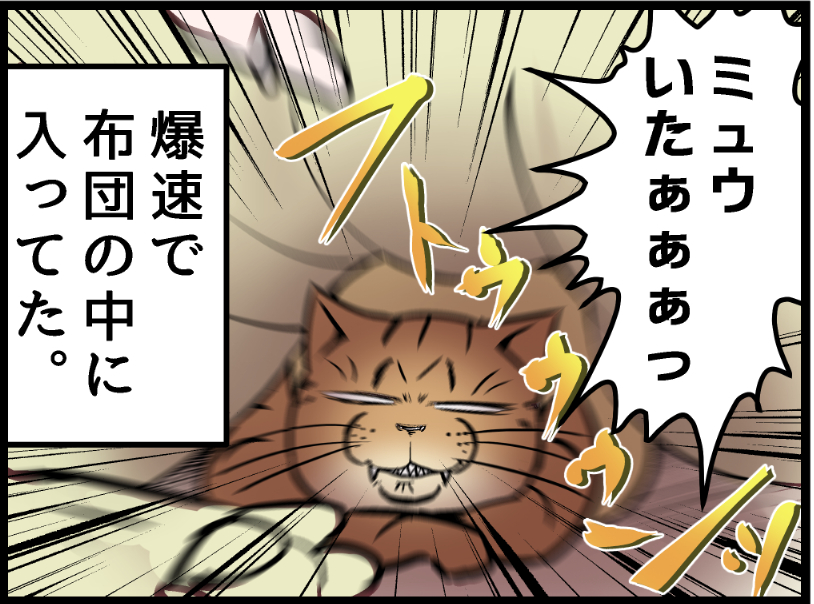 急に寒くなってネコとお布団ご一緒したい感じになってまいりました!  covovoy.blog.jpからまだ未公開の最新話を読むことができます!  #ニャンコ #まんが #猫 #猫あるある #猫漫画 #ペット #飼い主 #エッセイ漫画 #キャット #猫のいる暮らし
