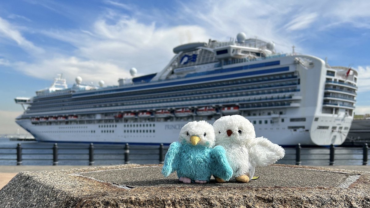 横浜みなとみらいへ来たよ〜
プリンセス・クルーズさんと記念撮影🛳️