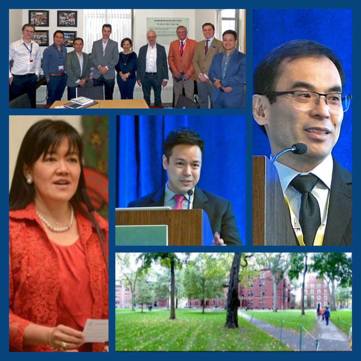 Linamara Rizzo Battistella tweet media