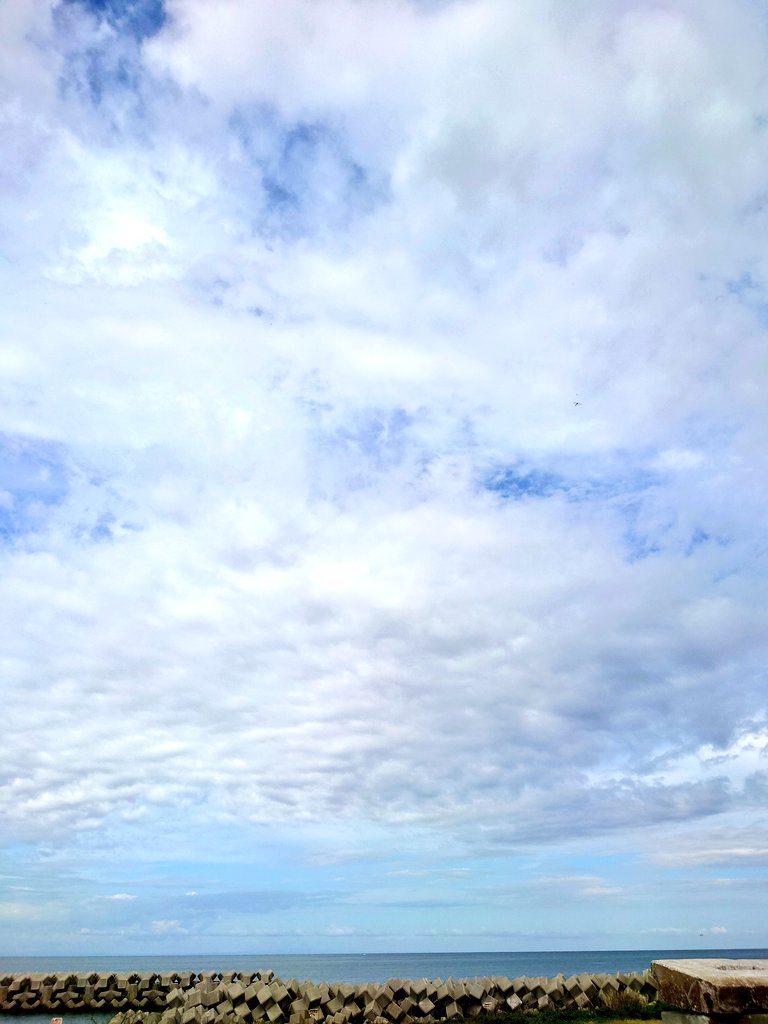 海の空