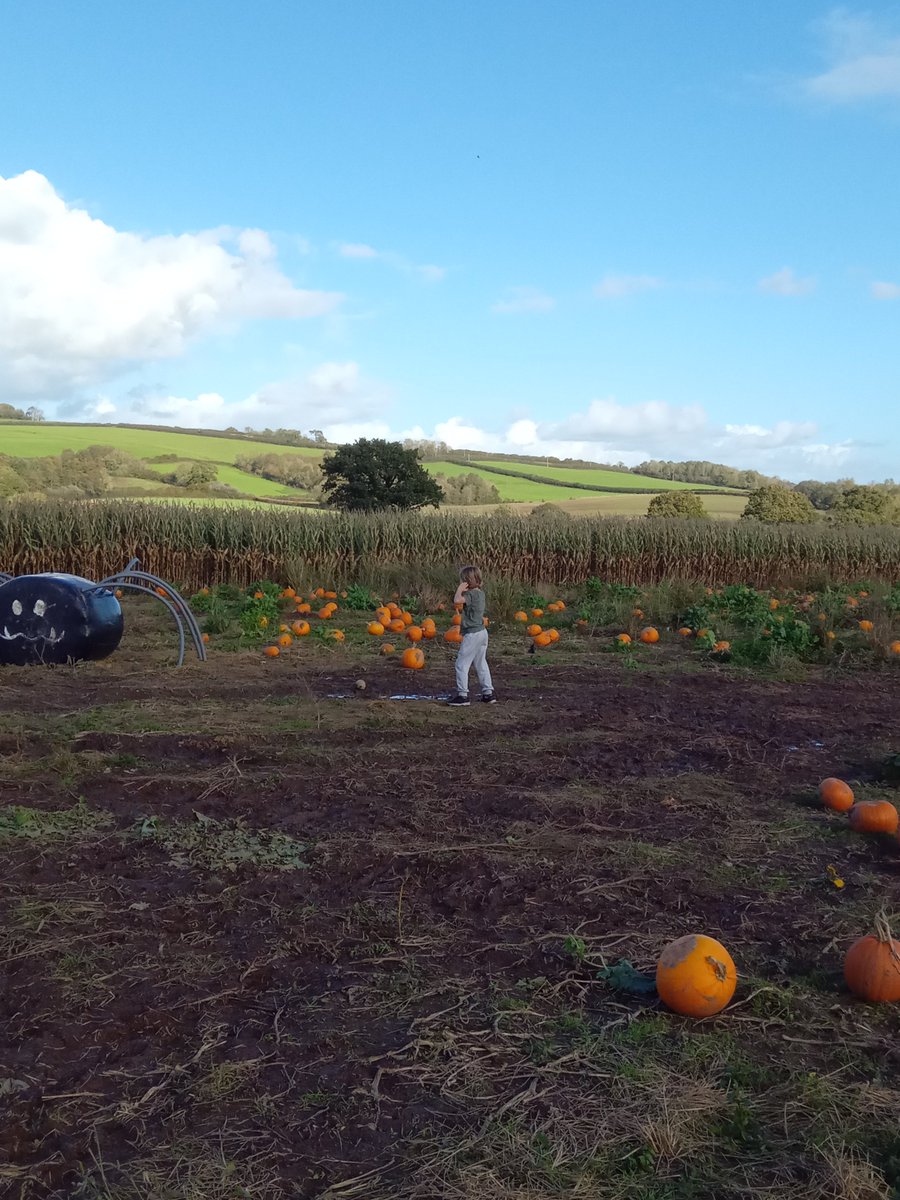 NicolaPickstone's tweet photo. Half an hour of refusing to wear wellies, refusing to get out of the car. OK, just get your shoes muddy, finally resulted in much fun. #Autism #parenting #ASD #Autistic #pumpk https://t.co/OSHVIH8nSY