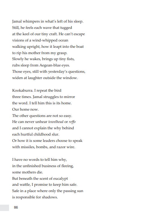 DavidTerelinck's tweet photo. Poetry of Home: The Liquid Amber prize Anthology arrived in the post today. I made the longlist and my poem, A Single Pomegranate, appears on pages 85-87. Delighted to be in this quality publication. https://t.co/WUflSOETdU