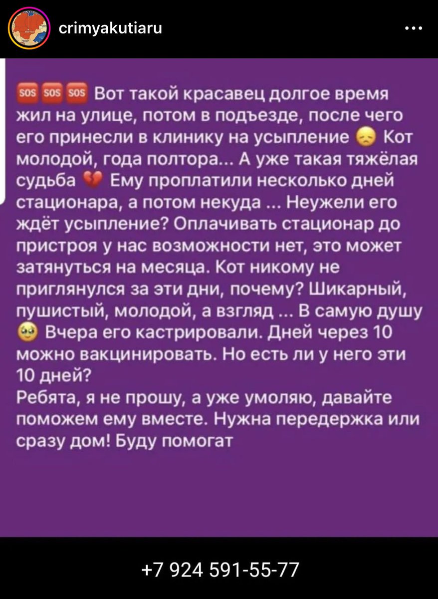 ellenhellenn's tweet image. может кто нибудь заберёт его😭😭 сурэ5им ыарыйда🥺