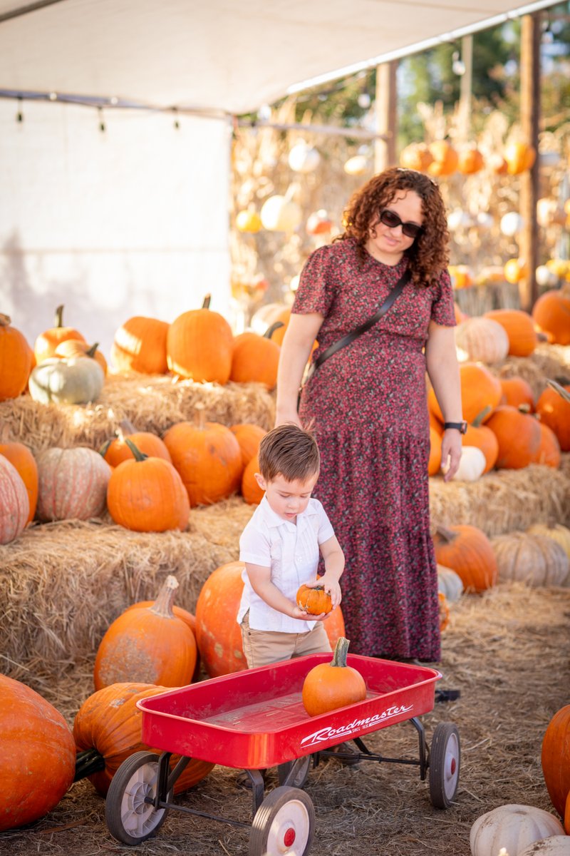 RamonAaronMora's tweet photo. My small family had a great time at the Wild Patch Pumpkins.

#Family #Kids #Children #Fall #Autumn #Memories #FreezeTime #StopTime #Pumpkins https://t.co/wOW8E8ljNP