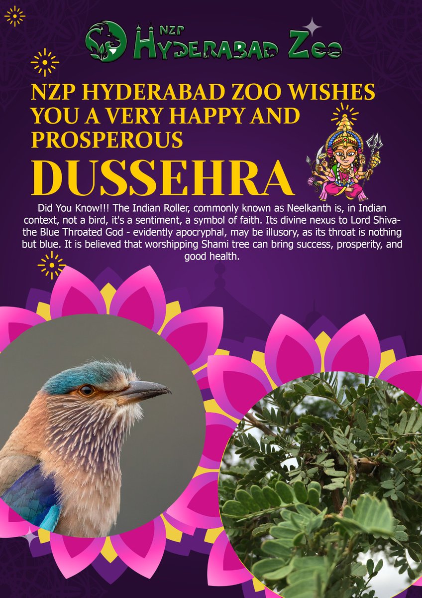 NZP Hyderabad Zoo (@nehruzoopark1) on Twitter photo #HappyDusshera ๐
๐ฏ๐ฆ๐wishes from Hyderabad zoo๐ฆ๐ฆ๐ฆ๐ฆ๐ฆ๐ป๐ฆ๐ฆ๐ฆ <a href="/HarithaHaram/">Telangana Forest Dept.</a> <a href="/dobriyalrm/">R. M. Dobriyal , IFS</a> <a href="/pargaien/">Mohan Pargaien IFS๐ฎ๐ณ</a> <a href="/CZA_Delhi/">Central Zoo Authority</a> <a href="/IKReddyAllola/">Indrakaran Reddy</a> #HappyDusshera ๐
๐ฏ๐ฆ๐wishes from Hyderabad zoo๐ฆ๐ฆ๐ฆ๐ฆ๐ฆ๐ป๐ฆ๐ฆ๐ฆ <a href="/HarithaHaram/">Telangana Forest Dept.</a> <a href="/dobriyalrm/">R. M. Dobriyal , IFS</a> <a href="/pargaien/">Mohan Pargaien IFS๐ฎ๐ณ</a> <a href="/CZA_Delhi/">Central Zoo Authority</a> <a href="/IKReddyAllola/">Indrakaran Reddy</a>
