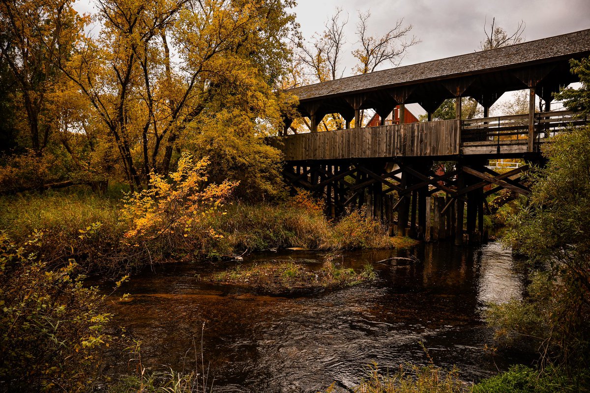 digitalfauxtog's tweet photo. Became a Michigander and was immediately spoiled with the spectacular colors of my favorite season! #MI #PureMI #FallColor @PureMichigan #M22 https://t.co/cmOzU8bSHr