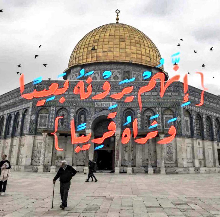 Linanbj's tweet photo. استشهاد اكثر من 500شهيد خلال أعنف قصف على غزة.
حسبي الله ونعم الوكيل😢😢
يارب اجعلها بردا وسلاما
اللهم ارحم موتاهم و اشفي مرضاهم و طمن قلوبهم و
انصرهم على القوم الظالمين 🤲🏻🤲🏻🤲🏻🤲🏻
#Gazabombing #GazaWar #GazaGenocide #GazaGenocides #Gaza_Genocide #Palestine https://t.co/6lnOvb3luG