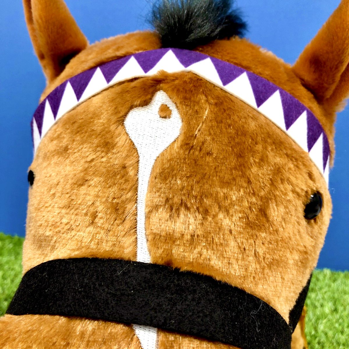 サラブレッドコレクション【公式】 on X