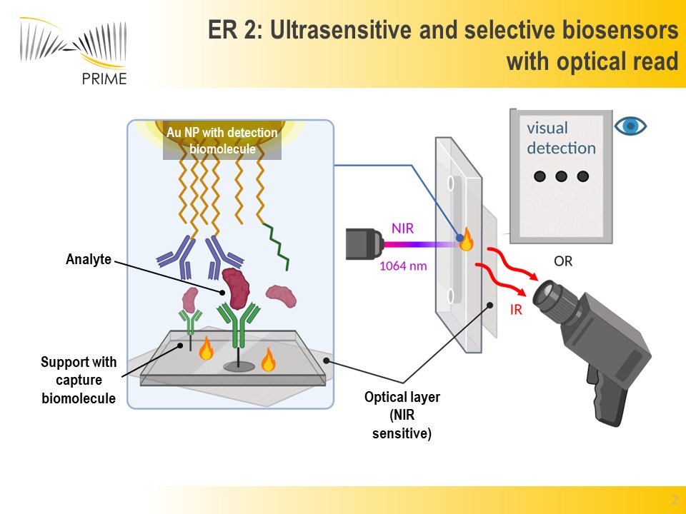 What are the results of PRIME? (1/3)

PRIME developed thermal #biosensors, applications could range from #pointofcare clinical analysis, #military and #humanitarian aid field operations, to applications in art and conservation. 

Read how they work here: 
project-prime.eu/scientific-res…