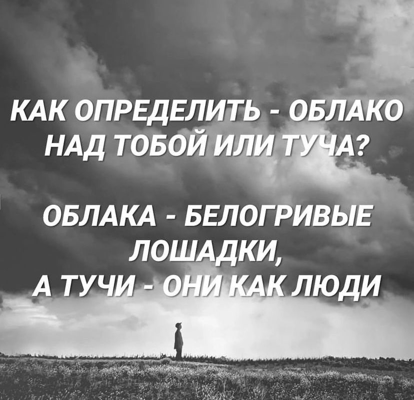 _natali_ok's tweet photo. https://t.co/uVSEU5SzK3