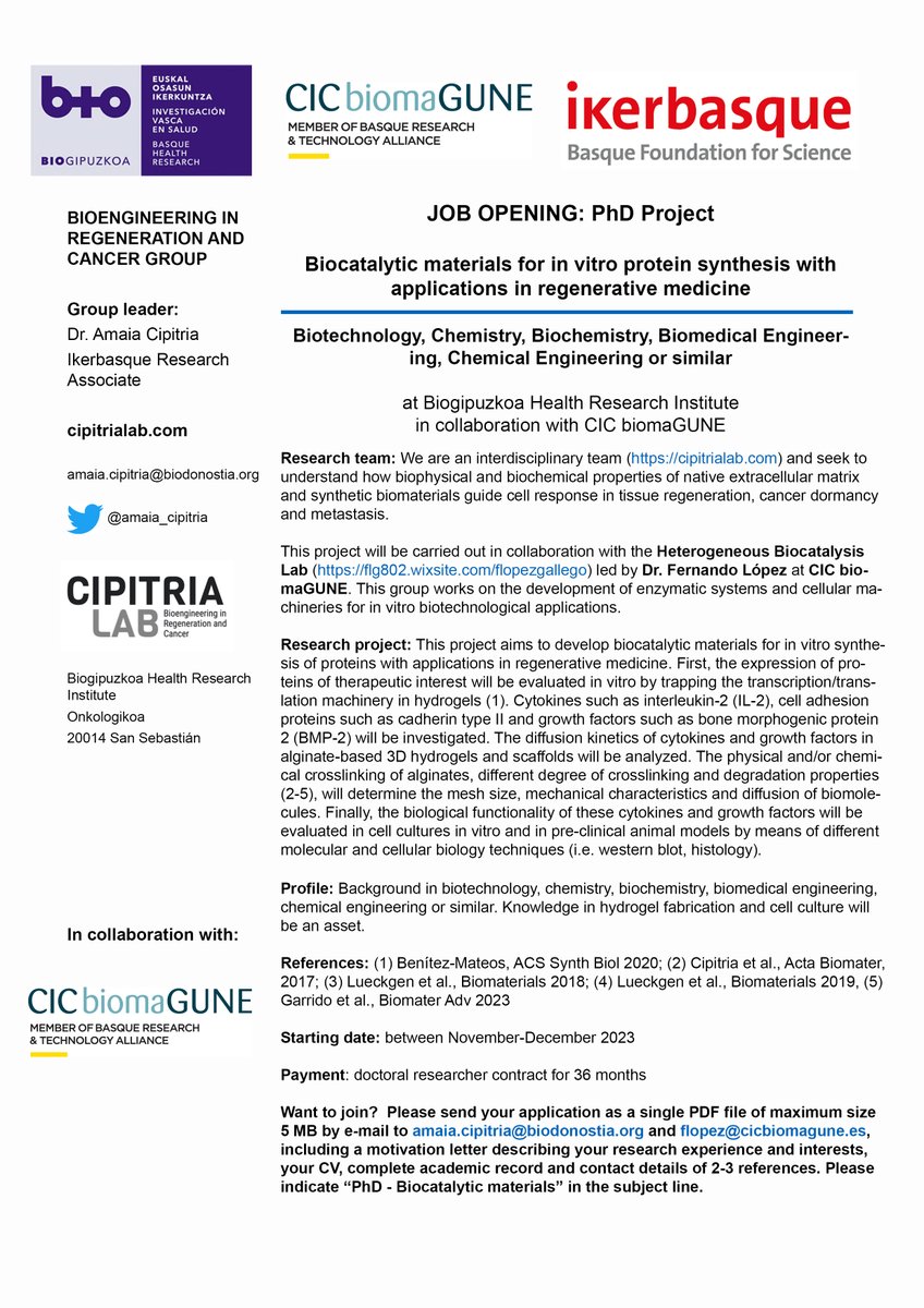 Amaia Cipitria tweet media