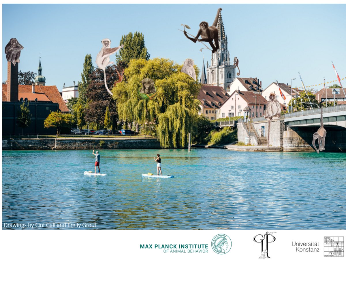 GfP is back on track with our next GfP Conference scheduled for March 13-16 2024 in beautiful Konstanz. The webpage of the meeting is up at tinyurl.com/3v52f72k
