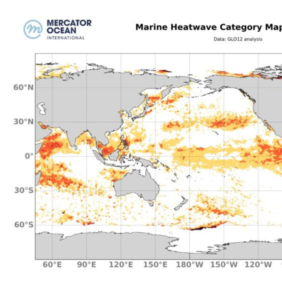 MercatorOcean's tweet photo. 📚 Get in the know of #OceanScience with our weekly Marine Heatwave Bulletin, out now!
Marine temperature trends this week highlight an intensification of the marine heatwave in the western Mediterranean 🌡️🌊
🔗 https://t.co/43Od0ZiiG1
#Heatwaves #OperationalOceanography https://t.co/gF3xblZDTS
