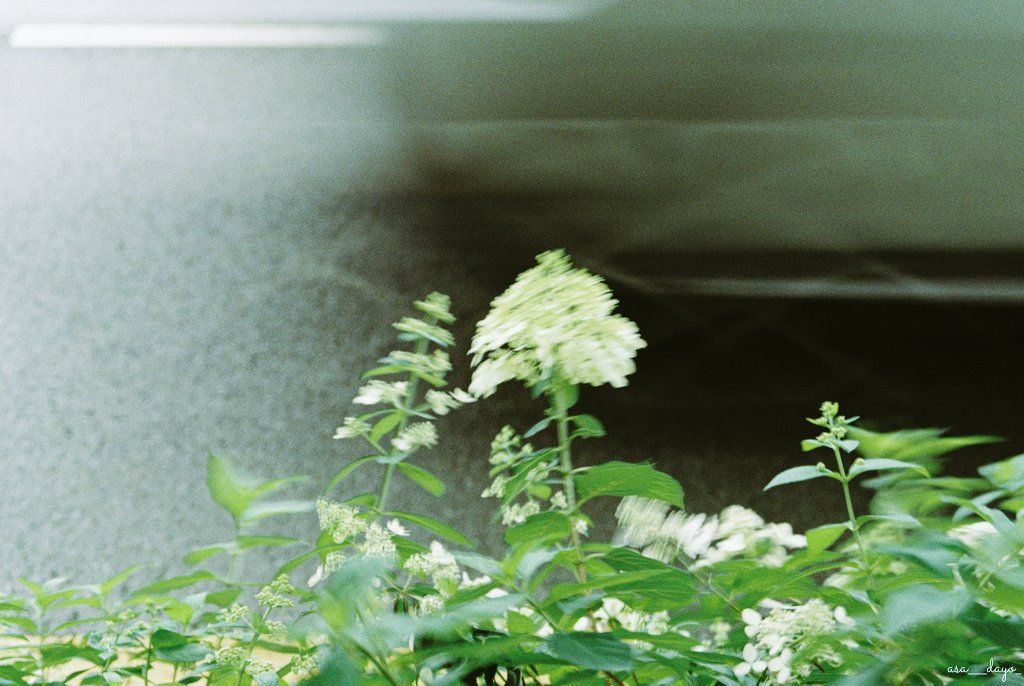 RoomNumber143's tweet image. 