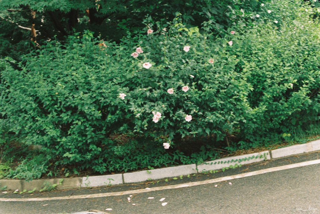 RoomNumber143's tweet image. 