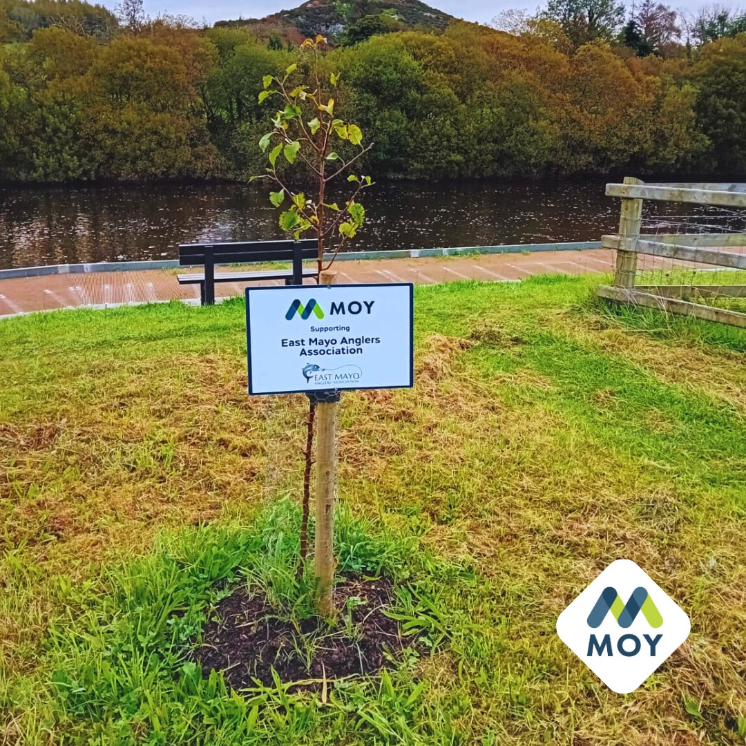 We're excited to continue our #raisingthelandscape campaign by planting more orchards in the UK and Ireland next month! It's great to see last year's trees blooming at East Mayo Anglers Association. Thanks to <a href="/hostinireland/">Host In Ireland</a> for their collaboration on #orchardplanting. 🌳🐝