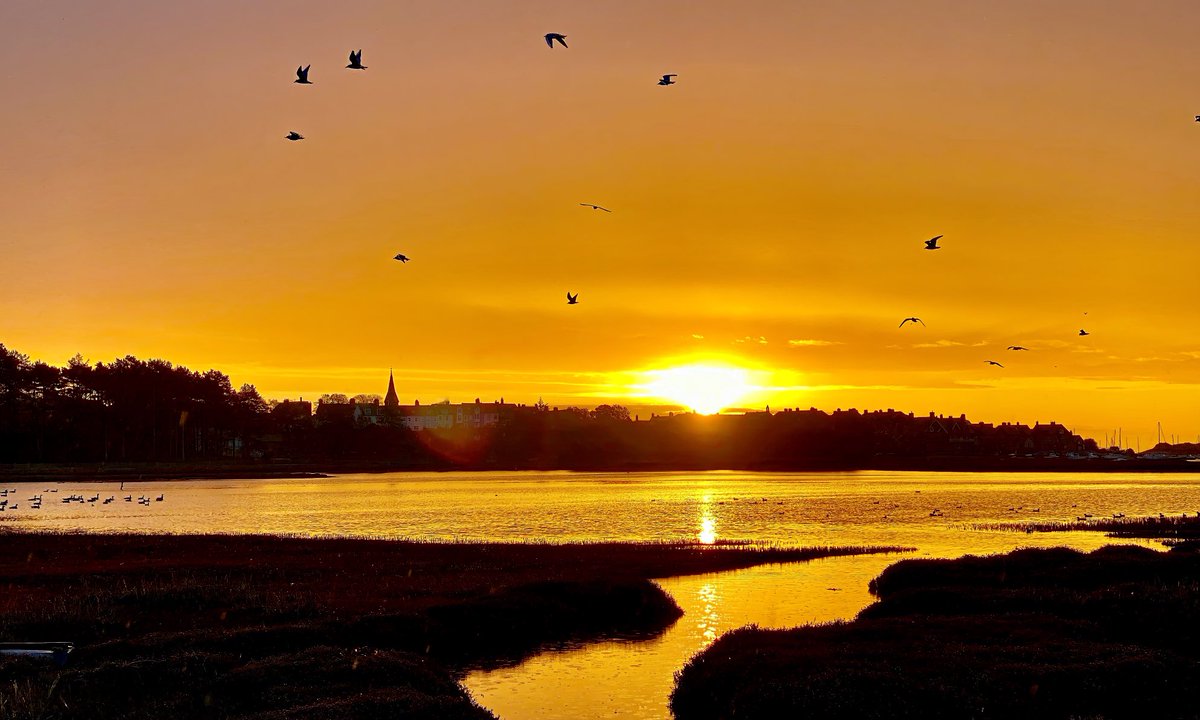 TomCadwallender's tweet image. ‘Gentle On My Mind’ My kinda place! Aln Estuary #mypatch