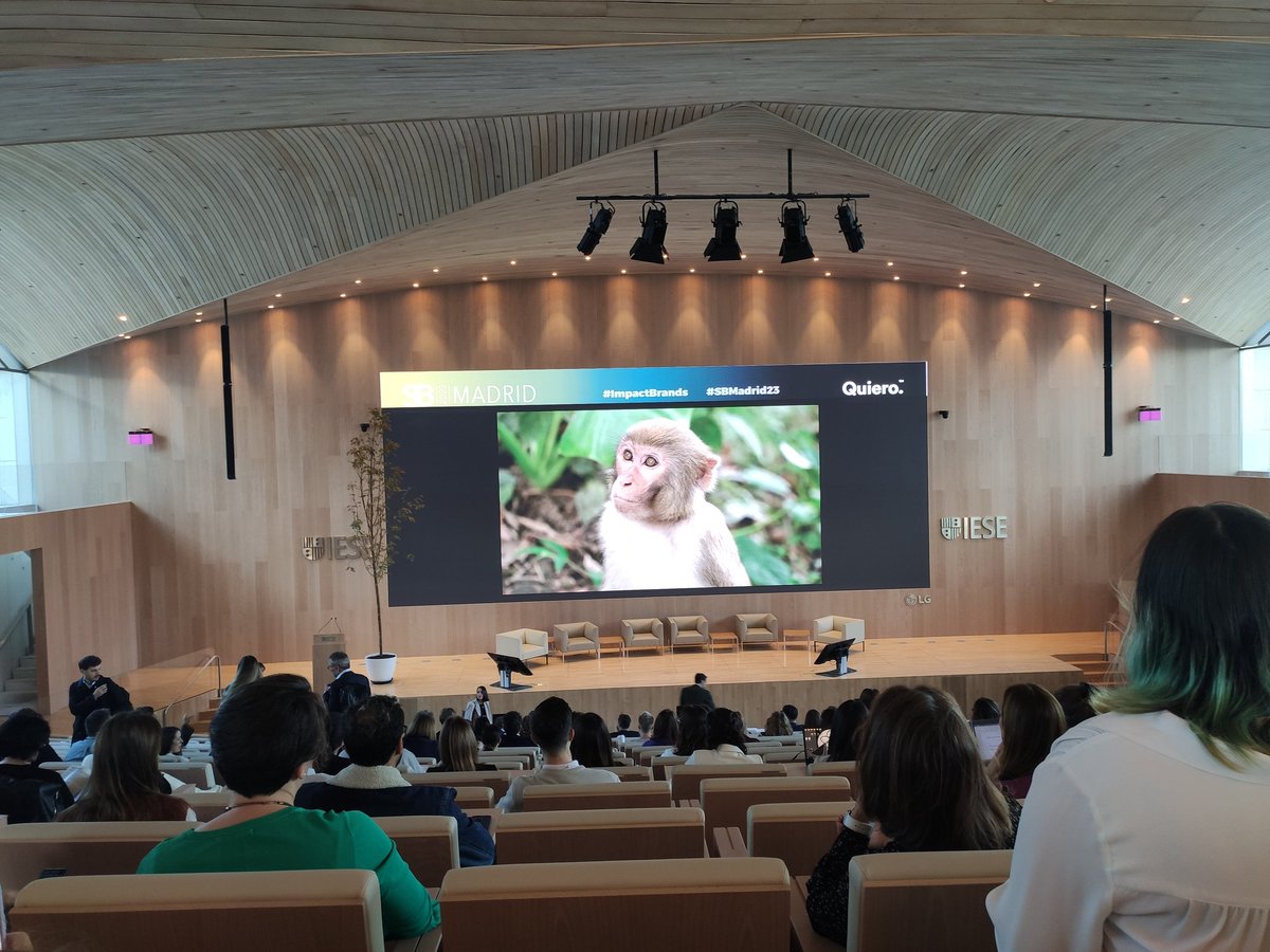 Empezamos vinculando cuerpo y mente con la naturaleza. Empezamos #SBMadrid2023 <a href="/SustainBrandsEs/">SustainableBrandsMAD</a>