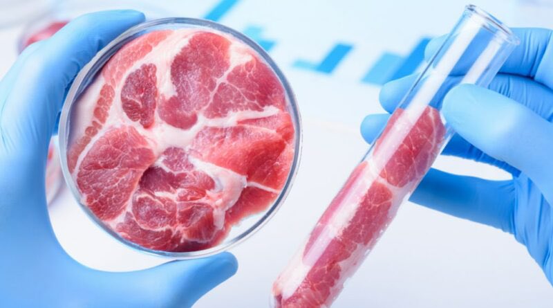 Mio articolo per <a href="/RadioVegit/">RadioVeg.it</a> 😊🌱 “Carne coltivata: dietrofront del Governo?” 👉 m.facebook.com/story.php?stor…