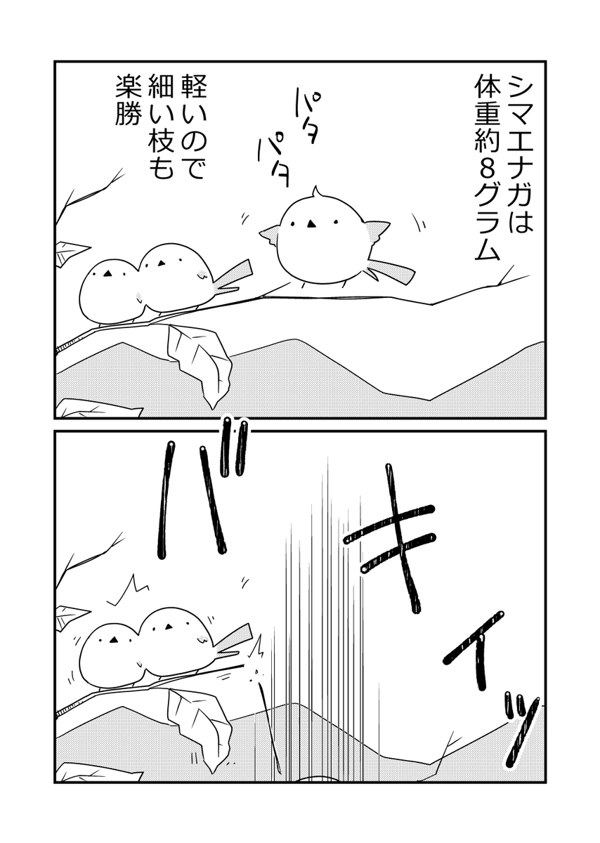 それいけシマエナガ | 世界一のどんぐり さんのマンガ | ツイコミ(仮)