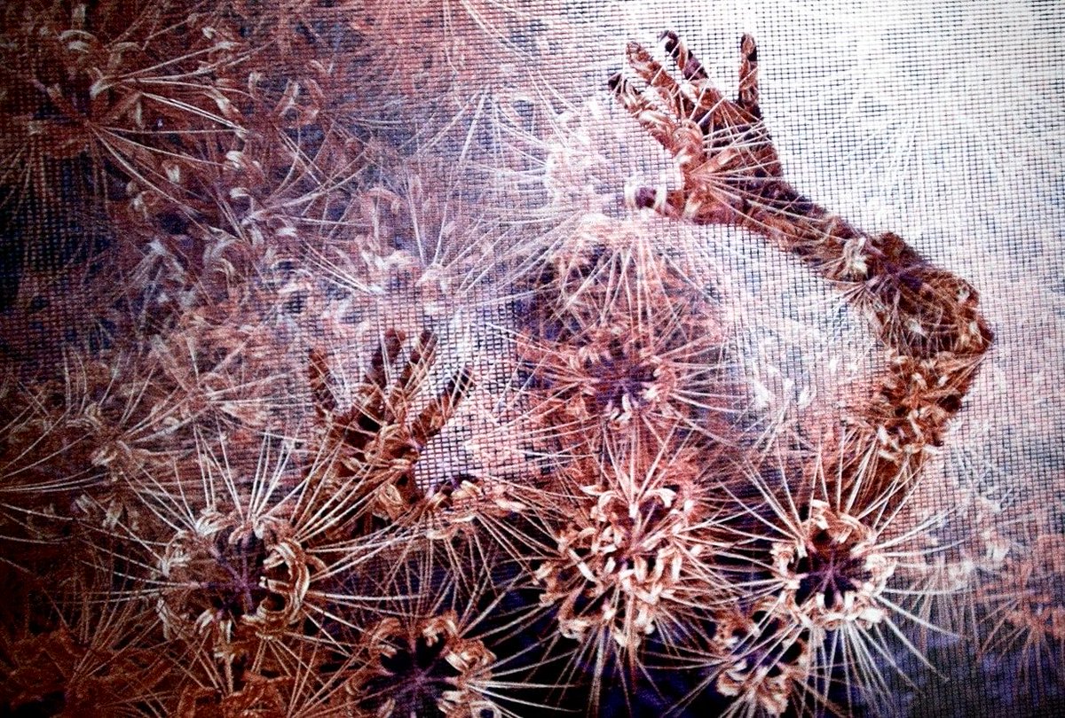 今日も爽やかな秋晴れ。
Lomo LC-A+/LomoChrome Purple XR100-400