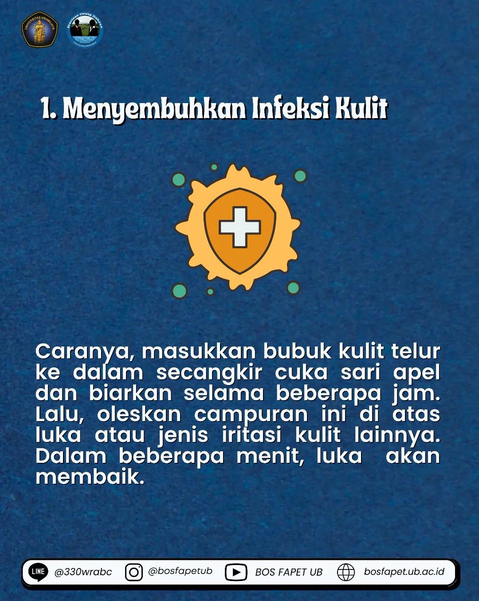 bosfapetub's tweet photo. [MANFAAT CANGKANG TELUR]

Cangkang telur adalah lapisan terluar dari telur. Cangkang telur menjadi salah satu limbah rumah tangga mau pun limbah peternakan, padahal cangkang telur masih bisa diolah agar bisa dimanfaatkan. Berikut manfaat dari cangkang telur : https://t.co/hEqoEfOxRO