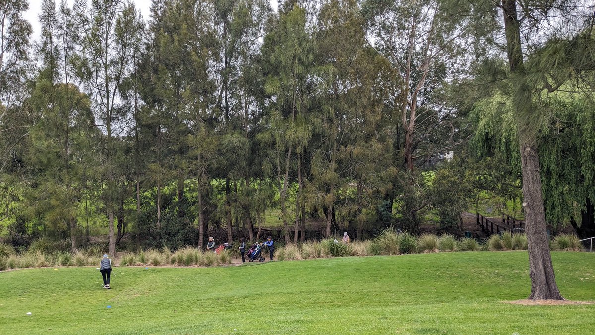 The first tee atm @oakleighgolf 6 getting ready to play 5 of them Women Oakleigh has more women than the elite private clubs in @MonashCouncil yet they are looking to close it down It's the poor old female disabled & juniors that will lose not rich white men