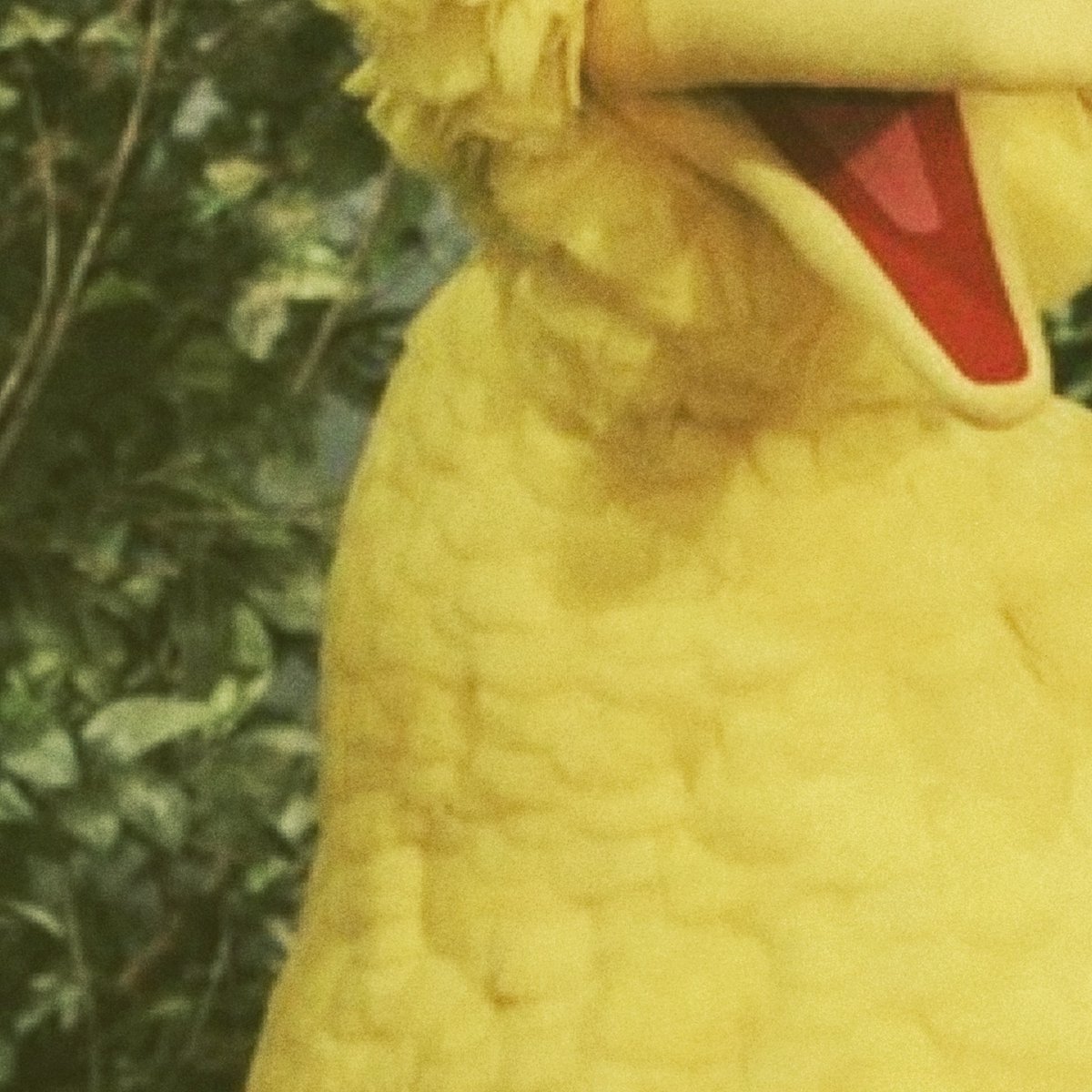 LAReview's tweet photo. “None of that mattered, though, because I was a bird, and birds can fly. I scooted to the edge of the branch.”

“The Pretend Big Bird” by Will Musgrove is up on the site now: https://t.co/M8v7sNhtjN

@Will_Musgrove
#LARflash https://t.co/GvgesCgHaO