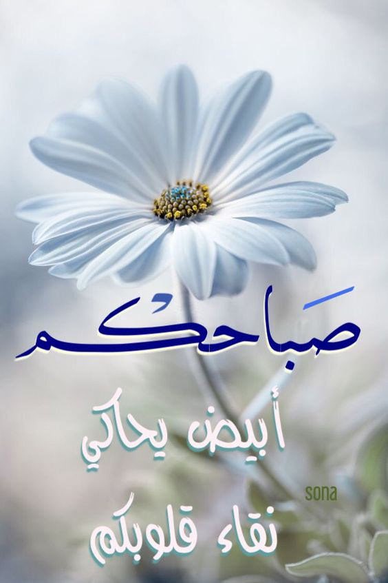 الصباح أن تفتح نوافذ النور إلى روحك ليصل الإشراق إلى أعماقك..ليكون نبراسا يبزغ داخلك وقنديلا يضويء تهتدي به نحو طموحك.. 
 ⁧صباح الخير والبركة 💙
احبك ربي من كل قلبي 💙