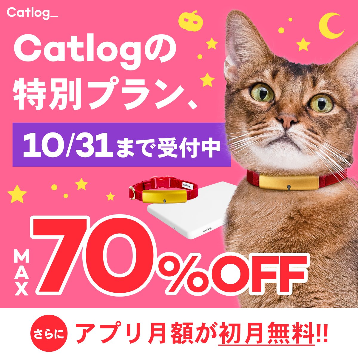 Catlog_RABO's tweet photo. Catlogのとってもお得な特別プランは、10/31まで🎃
🐈Catlog Boardは70%OFFの¥4,500(税抜)
🐈Catlog基本セットは27%OFFの¥9,000(税抜)
📲さらに今ならアプリ月額も初月無料!
本体価格割引は、なんと最大5個分ご利用可能です✨
この機会をお見逃しなく👇 #Catlog
https://t.co/vOT59m41aT https://t.co/BSvbLCQq3u